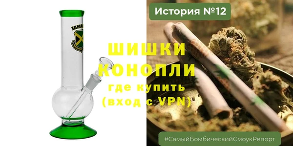 прущие грибы Липки