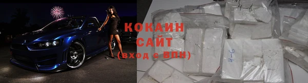 прущие грибы Липки