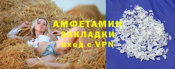 прущие грибы Липки