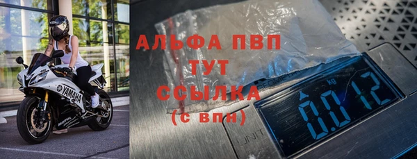 мяу мяу мука Лабытнанги