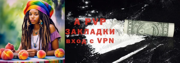 прущие грибы Липки