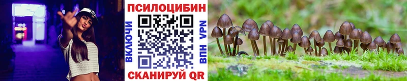 Псилоцибиновые грибы Magic Shrooms  Невельск 